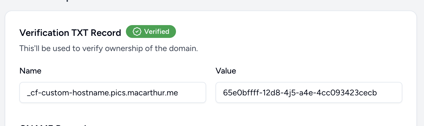 successful domain verification